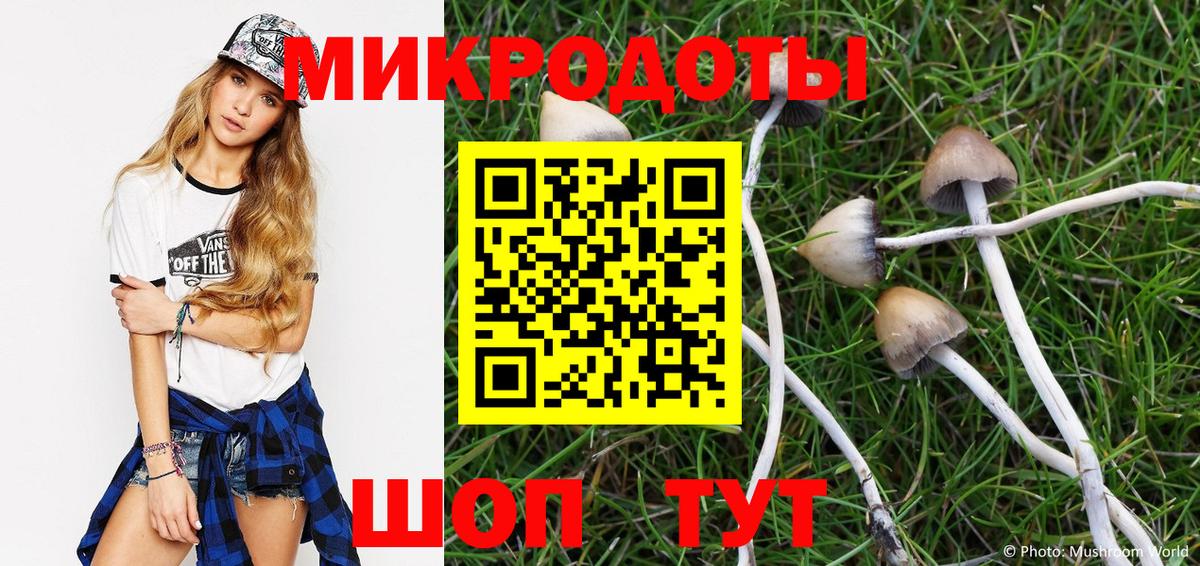 Каменск-Уральский  Псилоцибиновые грибы GOLDEN TEACHER  Вход с VPN  Псилоцибиновые грибы Cubensis 