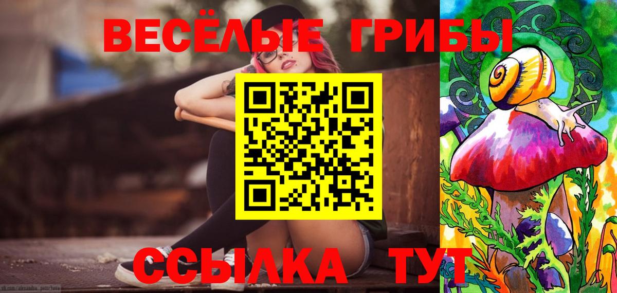Галлюциногенные грибы GOLDEN TEACHER Каменск-Уральский